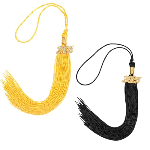 2st 2025 Tassel Afstuderen, 28cm 2025 Afstudeer Tassel met Charm Black Gold voor Cap Decoraties, Party Ceremonies (Goud, Zwart)
