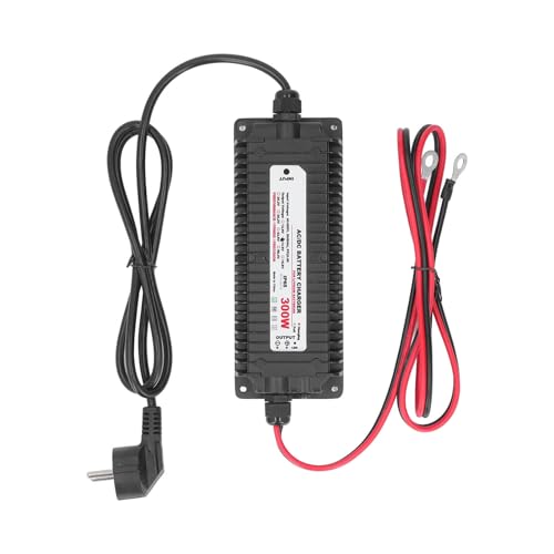 Smart Lithium Batterijlader voor LiFePO4 en LiMn2O4, 29.2V 10A AC naar DC Waterdichte Meervoudige Bescherming Kenmerken Batterijlader (EU-plug)