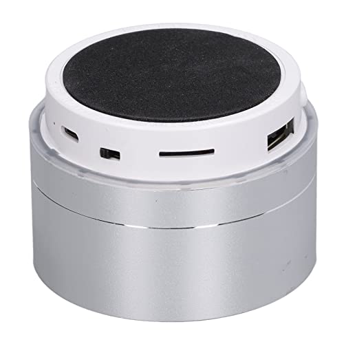 Aluminium Legering Portable Speaker, High Definition Stereo, Multi-Function Mini Speaker met handen-vrij bellen, Ondersteuning U schijf, Micro SD Kaart