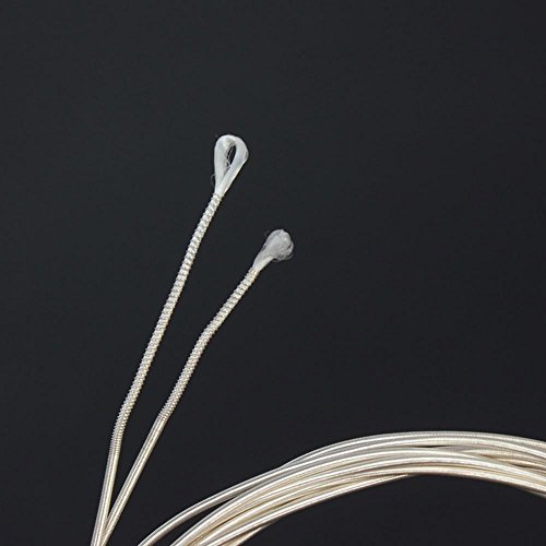 Old Saiten, Nylon versilbert Kupferlegierung klar Normalspannung Oud Saiten Set Zubeh?r(12 snaren) 5