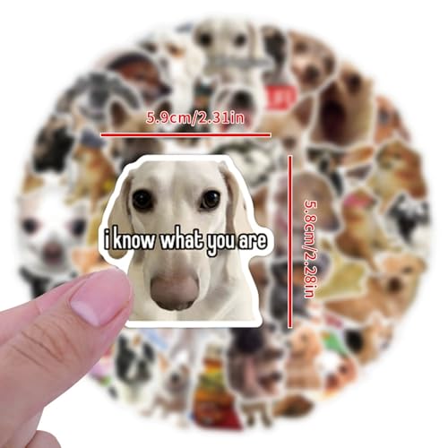 Grappige hondenstickers voor tieners en volwassenen, 50 stuks, Grappige hondenstickers Set voor auto, motor, fiets, skateboard, snowboard, bagage, laptop, koffer, helm, motorfiets, computer 3
