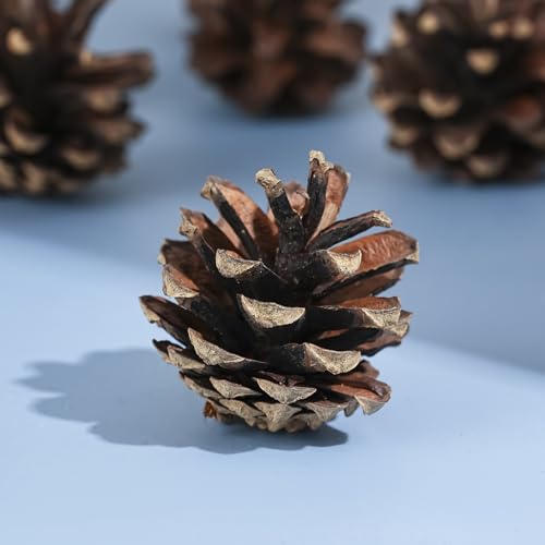 Nature Pine Cones Kerstmis Pine Cones Ornament met Cord Rustieke Sneeuw dennen kegels hangen Pine kegels ornamenten voor de herfst Thanksgiving Winter kerstboom decoraties (Brown)