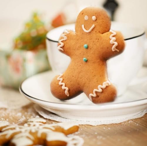 Kerstkoekjessnijders voor kids 5