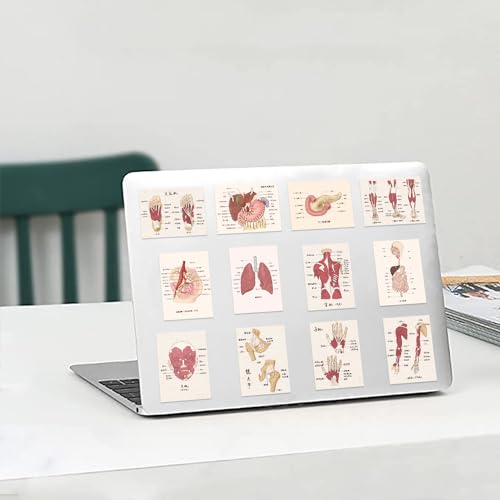 Poster van Organen Sticker Set Stickers Kids Tieners 50 stuks Waterdichte Vinyl Stickers Laptop Skateboard Koffer Helm Auto Fiets mobiele telefoon Motorrijwiel Bike Scrapbook Cadeaudagboek 3