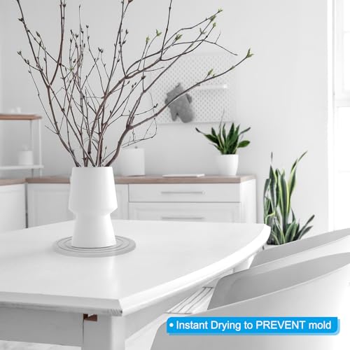 Diatomeek Aarde Indoor Planter Saucers 7 Inch,2 Pack Snel Dry Plant Dropper Trays voor Potten, Absorberende Plant Vangbak voor Binnen Home Tuin Plant, Wit 5