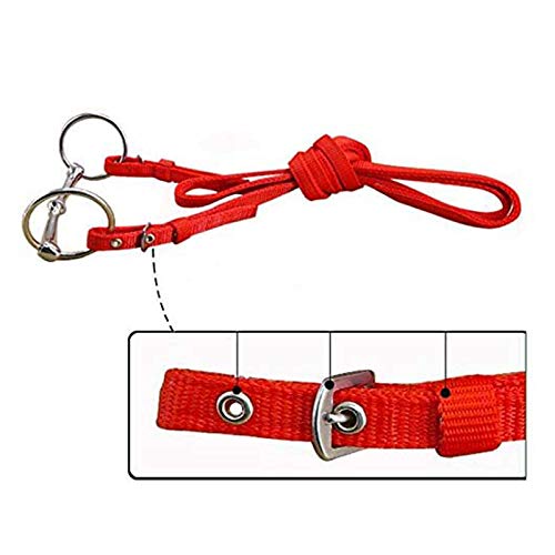 Horse Snaffle Bridle met Rein Rood verstelbaar Horse Dumbbell Harnas Horse Bridle Horse Bit met zachte Kussen voor Paard (L, Rood) 3