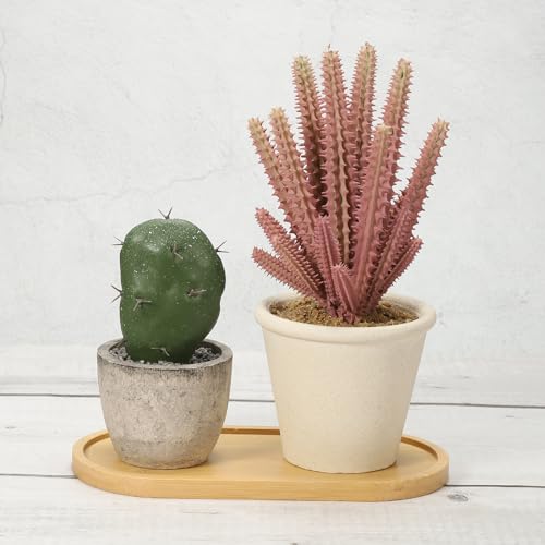 Bamboe Houten Saucer, 20x10cm Rechthoekige Houten Plant Drainer Bonsai Planten Dish Succulent Plant Pot voor Home Balkon 4