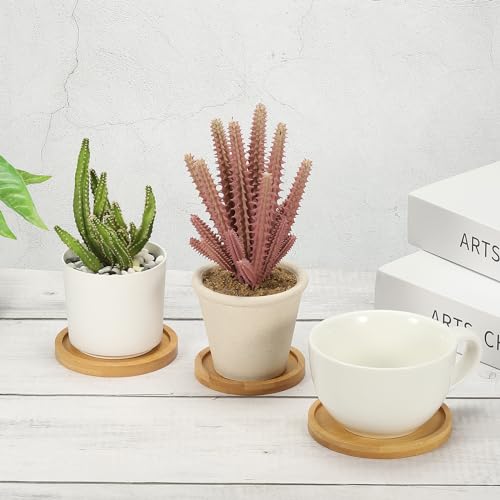 Bamboe Houten Saucer, 2 stuks 7,5cm Ronde Houten Plant Drainer Bonsai Planten Dish Succulent Plant voor Home Balkon 5