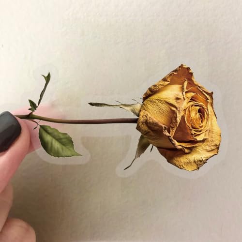 Droge bloemen Stickers voor tieners en volwassenen, Verpakking van 50, Droge bloemen PET Vinyl Sticker Set, Auto, Motorfiets, Fiets, Skateboard, Snowboard, Bagage, Laptop, Koffer, Helm, Motorfiets, Computer