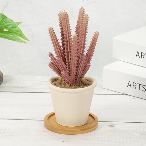 Bamboe Houten Saucer, 2 stuks 7,5cm Ronde Houten Plant Drainer Bonsai Planten Dish Succulent Plant voor Home Balkon 4