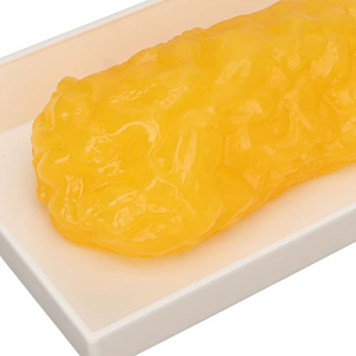 Fat Tissue Model,Authentic Human Body Fat Replica, Anatomical Model Human Body Fat Replica 1lb Demonstratie Model Fat Tissue for Nutritionist Science Cursus for Medical 5