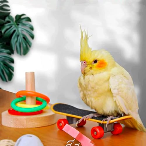 Zee 4 st. Parrot Chew Bird Baubles Ring Basketbal Hoop Skateboard Set voor Parakeets Cockatiels Parakeets, Bird To-y Accessoires 5
