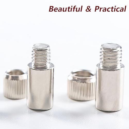 12 st plank beugel pins, garderobe plank pins, plank houder steunpennen, kast plank beugels, plank pins montage brace met moeren met 6mm Dia Pin 5