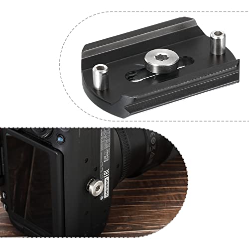 1/4"-20 Thread 13mm Lengte Camera Quick Release Schroef Tripod Schroef, 5 Pack Roestvrij stalen Hex Slot Schroeven voor DSLR Camera Rig Accessoires, Zilver 5