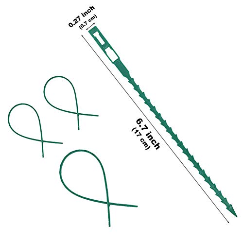 Plantenbanden verstelbaar Groen Plastic Kabel Ties Planting Wire Plant Clips - 50 stuks 5