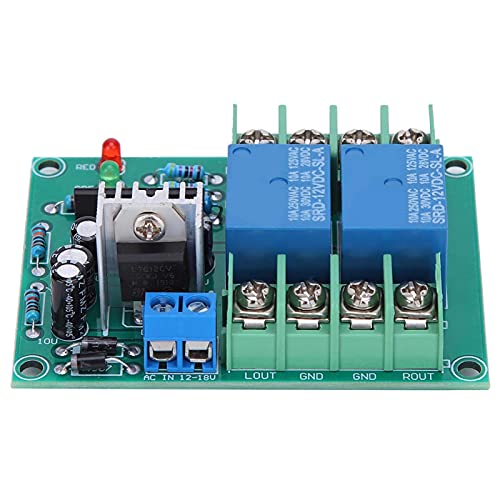 Dubbelkanaals digitale luidspreker bescherming Circuit Board Power On Mute Delay versterker Component 10A DC12-18V 5