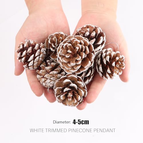 18 Kerstmis Decoratieve dennenappels, Natural White Pine kegels, Ornamenten, Miniaturen, Kerstmis Decoratie voor kerstboom, Tafel, Garland, Gift, Home, Tuin