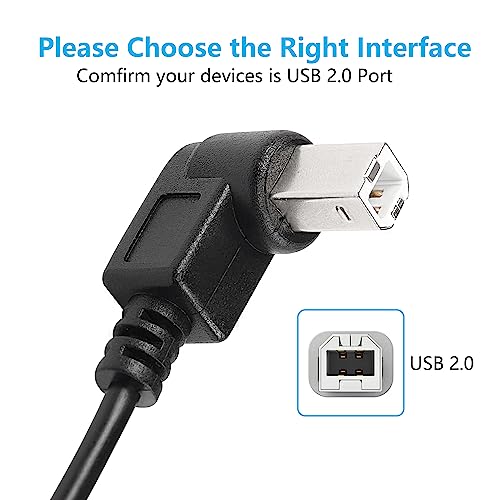 2st USB B naar type C Rechterhoek USB B naar type C 30cm USB B Plug naar USB C Plug voor Printer, MIDI Controller, Scanner, Digitale Piano MIDI Controller, DJ Controller (R+R) 3