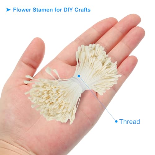 2.5mm Dubbele hoofden Bloemen Stamen, 340st Kunstbloemen Stamen Pistil Matte Parel Bloemen Stamen voor DIY kerstkaart bruiloft decoratie, crème wit 3