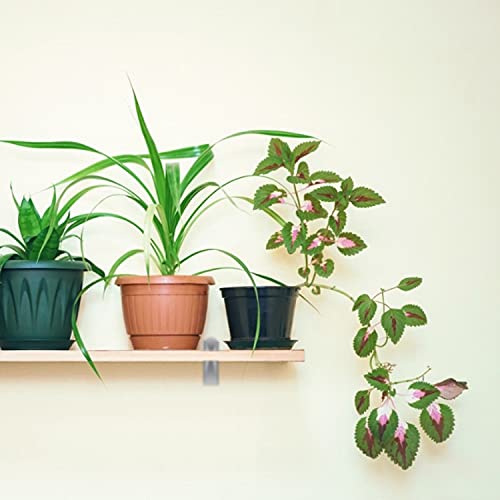 2 st. Verstelbare glazen plateau Bracket Glazen Bracket Vis Spout Clip voor schuren 3 tot 20mm Dikke, Badkamer Hakhaken 5