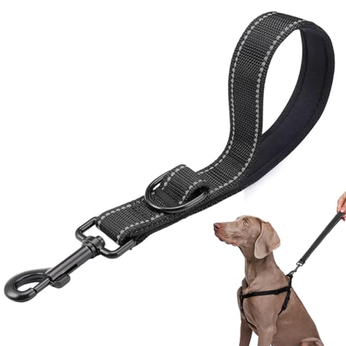 Strong Short Dog Lead, Training Lead voor honden met polslus, D-Carabiner 2,5 cm x 30 cm, Hondenherroeping Lead, Robuuste PVC Lead, Waterproof Recall Lead met metalen haken