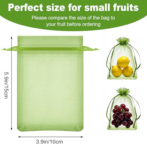 Verpakking van 50 Fruitbeschermingszakken, 5,9 × 10 cm, Groene Mesh Hoes met koord, Organza Säckchen Small Garden Net, Pest Barrier voor fruitbomen, groenten, bloemen