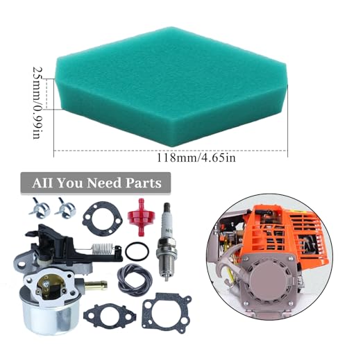 Carburator Kit voor Briggs & Stratton 2700 3100PSI 796608 591137 590948 594287 799248