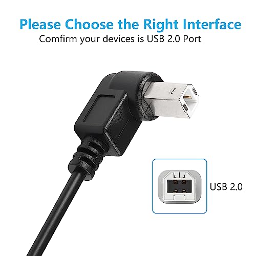 Set van 2 USB-C Printer Kabels, Rechterhoek USB B naar Type C Kabel, 11.8 Inch USB B Plug naar USB-C Plug voor Printer, MIDI Controller, Scanner, DJ Controller (UP+UP) 3