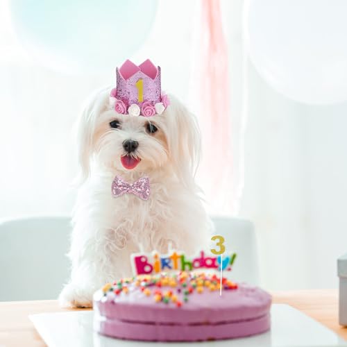 Huisdier Verjaardag Hoed Kit, Honden Verjaardag Hoed, Hondenfeest Decoraties met 1 Kroonhoed, 1 Boeg Tie, 1 rok, 10 Glitter Cijfers, Huisdier kostuums Hoofdkleding Accessoires voor kleine, middelgrote en 5
