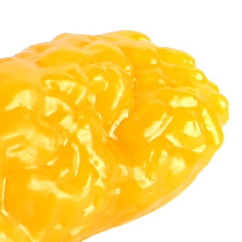 Sea Human Body Fat Replica, Blijf fit en gewichtsverlies Motivatie en Herinnering, Human Fat Tissue Demonstratie Model voor Geneeskunde Studenten 5