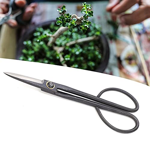 Bonsai schaar lange handgreep SK staal 210Mm snoeischaren voor tuinplanten trimmen, ergonomische en draagbare