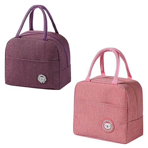 Kleine koelbox, 2 stuks, 6,2 liter, dubbele laag, dikke lunchzak, opvouwbaar, geschikt voor picknicks, kantoor, school