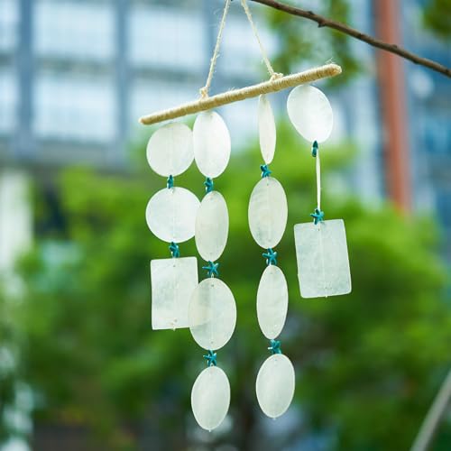 Natuurlijke schelp bedeltjes Rechthoekige Oval Flat Ronde Hart Ster Maan Vlinder Witte Zeeschelp Hangers 2-hole Link Bedels voor sieraden maken DIY Craft Home Decor 5