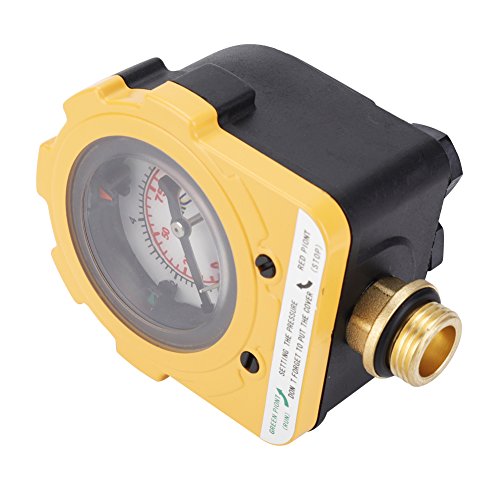 Foto-elektrische Drukschakelaar, 220 V, 10 Bar, Controller voor waterpomp (EU-plug) 5