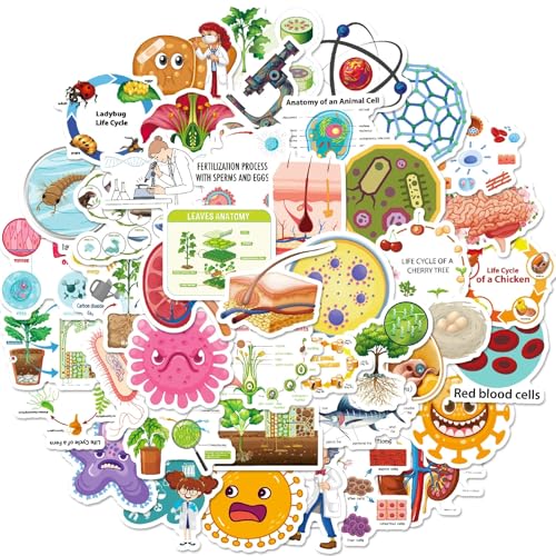 Fysica, Chemie, Biologie Stickers voor tieners en volwassenen, 50 stuks, Experiment, Student, Vinyl Sticker Set, Auto, Motorfiets, Fiets, Skateboard, Snowboard, Bagage, Laptop, Koffer, Helm