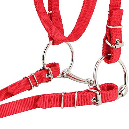 Horse Snaffle Bridle met Rein Rood verstelbaar Horse Dumbbell Harnas Horse Bridle Horse Bit met zachte Kussen voor Paard (L, Rood) 4