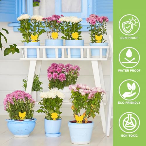20 st Gele Begrafenis Gnats Control Stickers Vlieg Trap Gele Lijm Trap, Begrafenis Gnats Control voor gele panelen voor binnen planten Pest controle 4