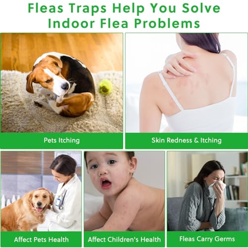 2 stuks vlooienvallen voor uw huis 5