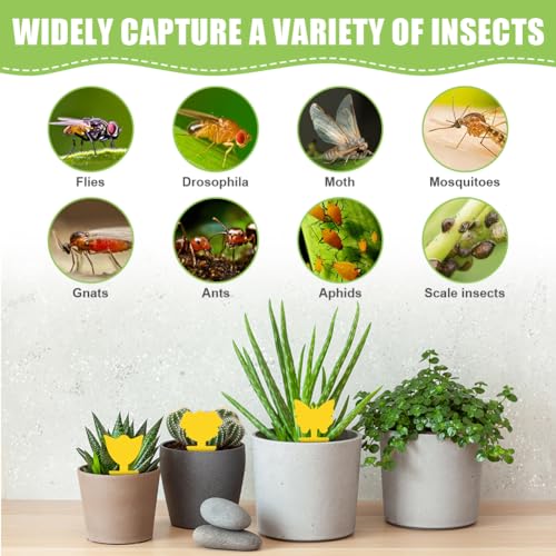 Sticky Flytraps, 100 stuks Yellow Flycatchers, Yellow Sticker Effectief voor Vliegende Insecten Gemengde Vorm 4