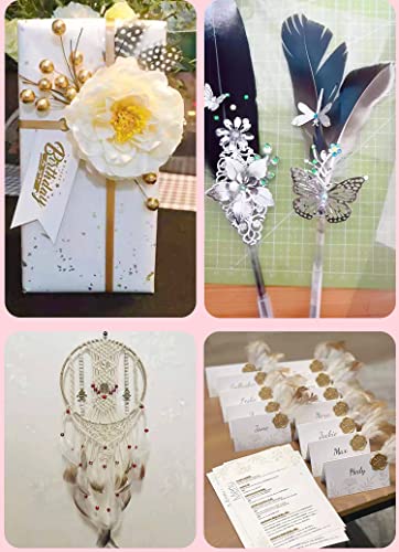 50st Natural Pearl Kip Veren voor het knutselen, Natuurlijke Veren, Kip Veren, Kopstuk sieraden Veren voor DIY Kunstwerk, Oorbellen, Droom Catcher, Manicure, Valse Eyelash Hoeden, Maskers, Haarsieraden, Natuurlijke kleur 4