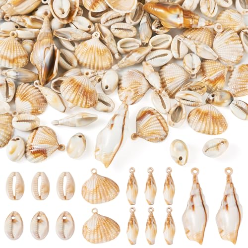 5 stijlen Shell Shape acryl hangers 100g Cowrie Shell Shell Charms Strand Vibe Seashell Bedels voor DIY oorbellen ketting sieraden maken, acryl, acryl