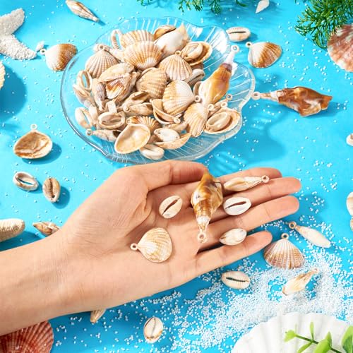 5 stijlen Shell Shape acryl hangers 100g Cowrie Shell Shell Charms Strand Vibe Seashell Bedels voor DIY oorbellen ketting sieraden maken, acryl, acryl 3