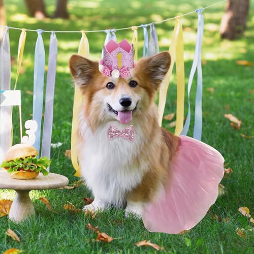 Huisdier Verjaardag Hoed Kit, Honden Verjaardag Hoed, Hondenfeest Decoraties met 1 Kroonhoed, 1 Boeg Tie, 1 rok, 10 Glitter Cijfers, Huisdier kostuums Hoofdkleding Accessoires voor kleine, middelgrote en 3