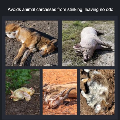 Graf Pet Body Bag, Pet Funeral Fleece Pet Chest for Funeral Creation, Odor Control (S) (M)