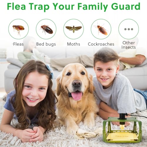 2 stuks vlooienvallen voor uw huis 3