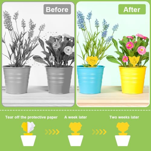 Sticky Flytraps, 100 stuks Yellow Flycatchers, Yellow Sticker Effectief voor Vliegende Insecten Gemengde Vorm 5
