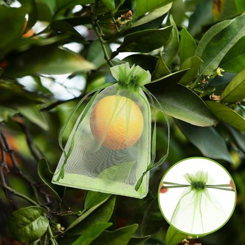 Verpakking van 50 Fruitbeschermingszakken, 5,9 × 10 cm, Groene Mesh Hoes met koord, Organza Säckchen Small Garden Net, Pest Barrier voor fruitbomen, groenten, bloemen 4