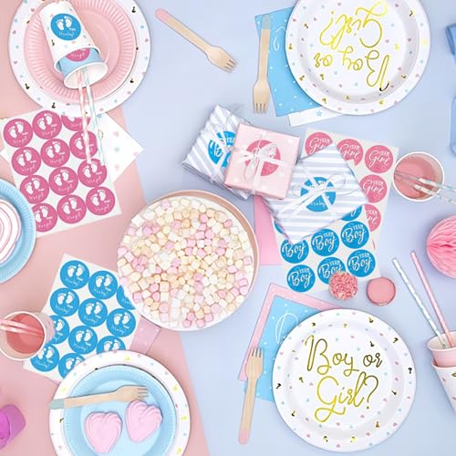 144 stuks geslacht onthullen stickers, Team Boy & Team Meisje labels stickers Jongen of Meisje Baby Feest decoratie blauw en roze geslacht stickers geslacht Reveal party jongen of meisje decoratieve stickers 3