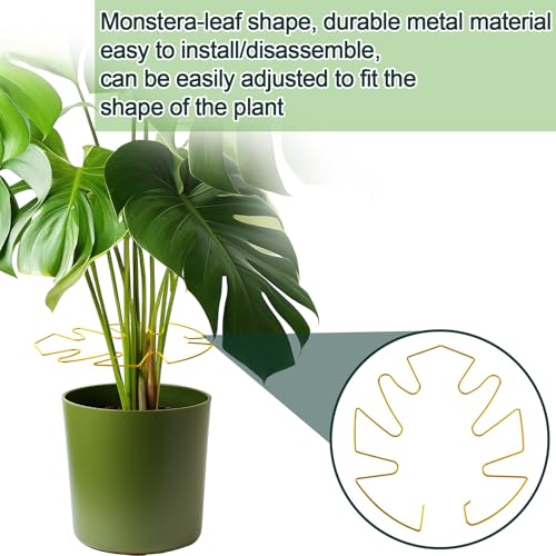 4Pcs Monstera Leaf Plant Ondersteuning, Metaal Monstera Ondersteuning Klimmen Plant Stam Stabilisator Houder voor Binnen en Buiten Tuin Accessoires (Goud) 4