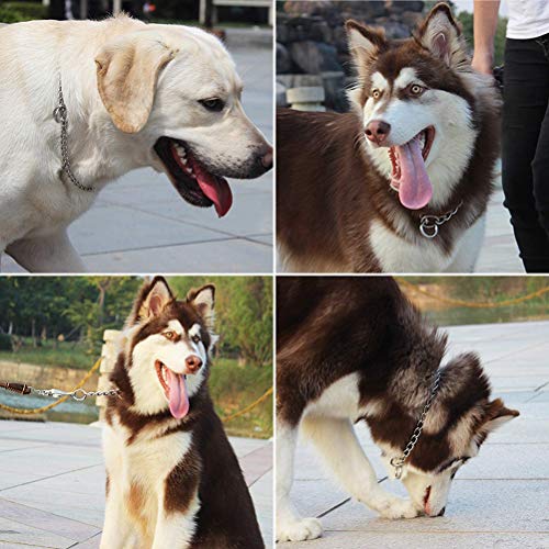 Metalen Hondenhalsband, Hondenhalsband, Hondenhalsband, Roestvrij staal Training Hangs, Sterke Roestvrij stalen metalen schakels, Slip kettinghalsband 5